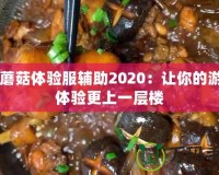 CF蘑菇體驗服輔助2020：讓你的游戲體驗更上一層樓