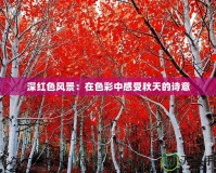 深紅色風(fēng)景：在色彩中感受秋天的詩(shī)意