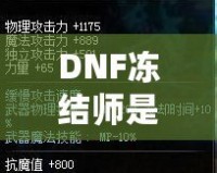 DNF凍結(jié)師是靠力量還是攻擊？解析職業(yè)選擇與屬性加點