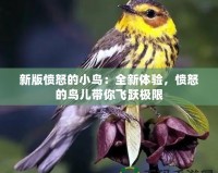 新版憤怒的小鳥：全新體驗(yàn)，憤怒的鳥兒帶你飛躍極限