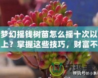 夢(mèng)幻搖錢樹苗怎么搖十次以上？掌握這些技巧，財(cái)富不再遙不可及！