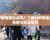 DNF野豬能出血嗎？了解DNF野豬出血機(jī)制與玩法技巧