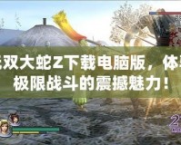 無雙大蛇Z下載電腦版，體驗極限戰(zhàn)斗的震撼魅力！