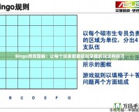 Bingo游戲圖解：讓每個(gè)玩家都能輕松掌握的玩法和技巧