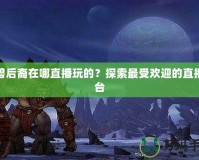 魔獸后裔在哪直播玩的？探索最受歡迎的直播平臺(tái)