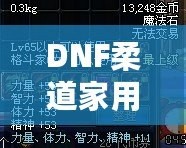 DNF柔道家用什么武器PK最強？掌握這些，你也能成為戰(zhàn)場王者！