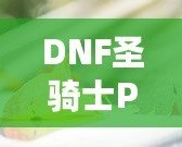 DNF圣騎士PK放大打斷原因分析