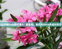 見(jiàn)血封喉Dota回憶錄3：那些年，我們與Dota共成長(zhǎng)的日子