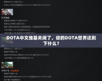 DOTA中文維基關(guān)閉了，你的DOTA世界還剩下什么？