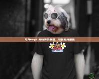 刀刀Dog：寵物界的新星，領(lǐng)跑時尚潮流