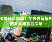 PDD是什么意思？全方位解析PDD的含義與背后深意