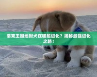 洛克王國(guó)地獄犬在哪超進(jìn)化？揭秘最強(qiáng)進(jìn)化之路！