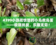 4399小游戲憤怒的小鳥救鳥蛋——極限挑戰(zhàn)，樂趣無窮！