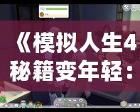 《模擬人生4秘籍變年輕：讓虛擬人生煥發(fā)青春的秘密》