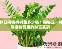 夢幻搖錢樹樹苗多少錢？揭秘這一神奇植物背后的財富密碼！