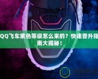 QQ飛車紫色等級(jí)怎么來的？快速晉升指南大揭秘！