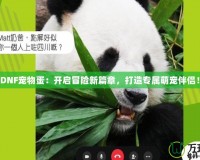 《DNF寵物蛋：開啟冒險(xiǎn)新篇章，打造專屬萌寵伴侶！》