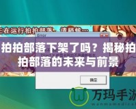 拍拍部落下架了嗎？揭秘拍拍部落的未來(lái)與前景