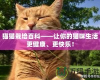 貓貓栽培百科——讓你的貓咪生活更健康、更快樂！