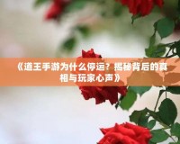 《道王手游為什么停運(yùn)？揭秘背后的真相與玩家心聲》