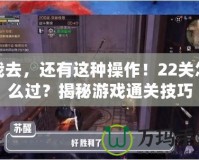 我去，還有這種操作！22關怎么過？揭秘游戲通關技巧