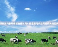 頂級跑馬牧場體質(zhì)有什么用？探索賽馬產(chǎn)業(yè)背后的關鍵因素