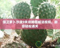 保衛(wèi)蘿卜沙漠9關(guān)攻略圖解法視頻，助你輕松通關(guān)