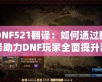 DNF521翻譯：如何通過(guò)翻譯助力DNF玩家全面提升游戲體驗(yàn)