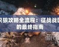 只狼攻略全流程：征戰(zhàn)戰(zhàn)國(guó)的最終指南