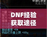 DNF經(jīng)驗(yàn)獲取途徑解析：輕松升級(jí)，快速提升！