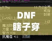 DNF瞎子穿什么甲？讓你秒變無(wú)敵的裝備選擇解析！