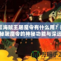 《海賊王屠魔令有什么用？揭秘屠魔令的神秘功能與深遠意義》