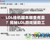 LOL掛機(jī)腳本哪里有賣？揭秘LOL游戲輔助工具的市場(chǎng)與選擇