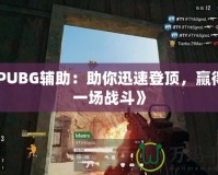 《PUBG輔助：助你迅速登頂，贏得每一場戰(zhàn)斗》