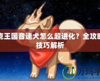 洛克王國音速犬怎么超進化？全攻略與技巧解析