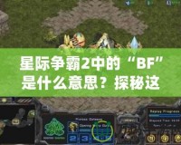 星際爭霸2中的“BF”是什么意思？探秘這個詞匯背后的深層含義