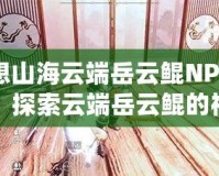 妄想山海云端岳云鯤NPC在哪？探索云端岳云鯤的神秘世界