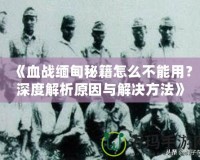 《血戰(zhàn)緬甸秘籍怎么不能用？深度解析原因與解決方法》