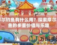 摩爾釣魚有什么用？探索摩爾釣魚的多重價(jià)值與樂趣