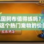 洛克王國阿布值得練嗎？深度解析這個熱門寵物的價值！
