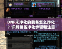 DNF未凈化的裝備怎么凈化？詳解裝備凈化步驟和注意事項(xiàng)