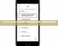 QQ飛車BugReport怎么解決？全面解析解決方案，助你暢快體驗(yàn)游戲！