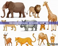 愛拍馬屁的動物是什么生肖？揭開生肖里的“馬屁精”秘密