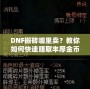 DNF搬磚哪里賣？教你如何快速賺取豐厚金幣，輕松變身游戲大佬！