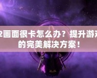 Dota2畫面很卡怎么辦？提升游戲體驗(yàn)的完美解決方案！