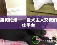 跑跑狗論壇——愛犬主人交流的最佳平臺