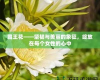 霸王花——堅(jiān)韌與美麗的象征，綻放在每個(gè)女性的心中