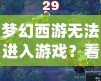 夢幻西游無法進入游戲？看這里，解決方案一網(wǎng)打盡！