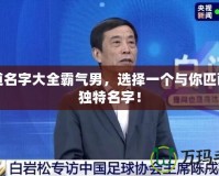 問道名字大全霸氣男，選擇一個(gè)與你匹配的獨(dú)特名字！