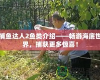 捕魚(yú)達(dá)人2魚(yú)類介紹——暢游海底世界，捕獲更多驚喜！